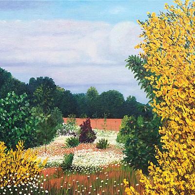 Genêts et marguerites